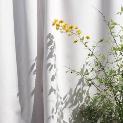 半岛官网入口网页版下载手机版